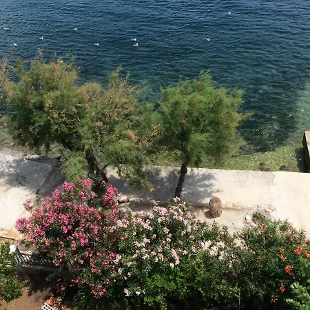 Beach House Petar&eli *